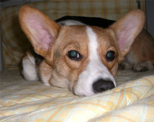 �����͋C����������B